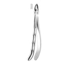 Davier canines et partie supérieure centrale - Safe Implant