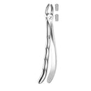 Davier molaires supérieures - Safe Implant