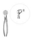 Davier enfant molaires inférieures - Safe Implant