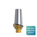 Pilier anatomique renforcé - Safe Implant