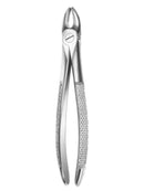 Davier incisives et canines supérieures - Safe Implant