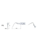Insert PD5 compatible Satelec - WOODPECKER - Safe Implant