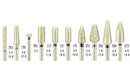 Kit de 10 fraises diamantées HP - Safe Implant